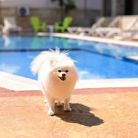 Kristin Palace Ξενοδοχείο με διαμερίσματα Obzor