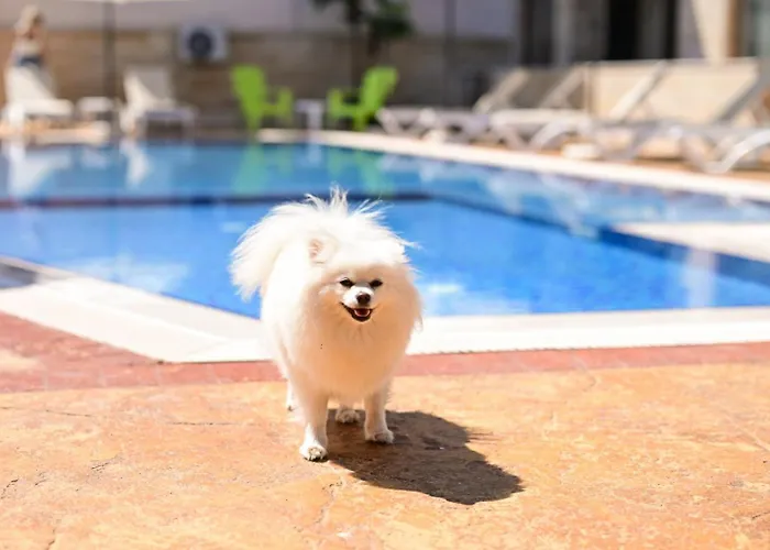 Kristin Palace Aparthotel Obzor